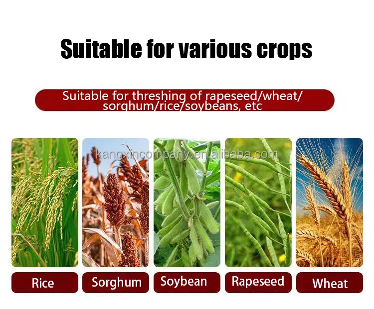 For Millet And Rapeseed Wheat Crop Thresher Paddy Rice