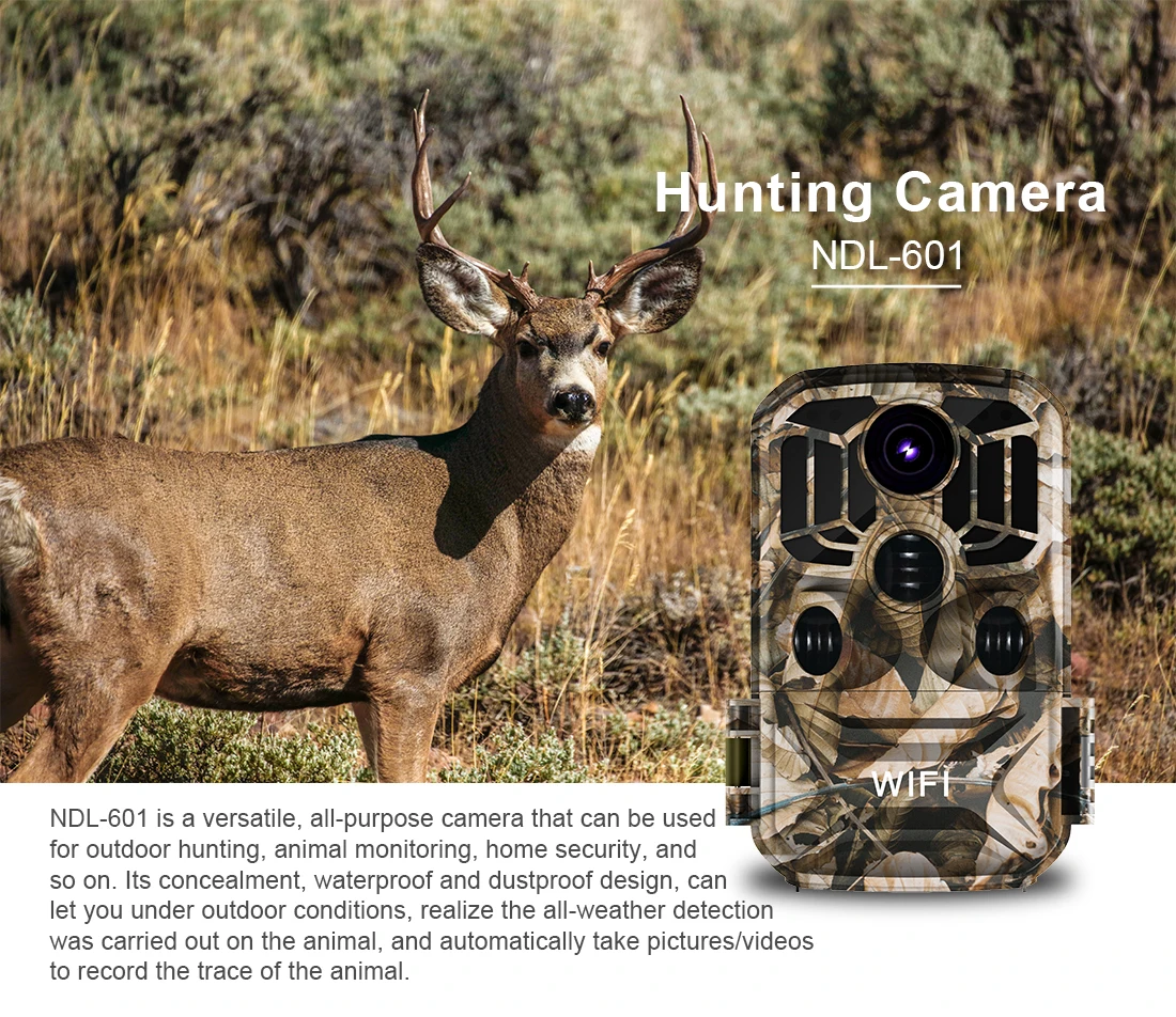 12MP hunting cam (1).jpg