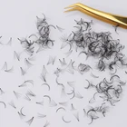 Handmade Volume Fans Premade Loose 5D Volume Lashes Jar Lashes Bulk Lashes