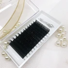 Beauty Eyelashes Extension Professional Eyelash Extension Elsa Beauty Eyelashes Extension Professional