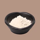 Factory Sales Crispy Chicken Coating Powder OEM 1kg Bagged Original Flavor Fry Flour