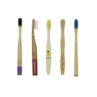 Hot Selling Charcoal Bristle Bamboo Toothbrush 100% Biodegradable
