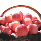 Apples Apple Fuji Apple Bulk Fruits Fresh Apples Yellow Apple Fruit Red Fuji