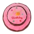Pet Best Selling Hot Pet Dog Birthday Cake Candle Shape With Squeaky Plush Chew Dog Toy