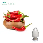 Capsicum Capsicum Powder High Quality Chili Pepper Capsicum Extract Powder 99% Capsaicin