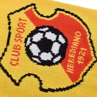Wholesale Oem Customized Logo World Soccer Cup Football Team Club Scarves Fan Knitted Souvenir Scarfs