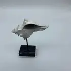 Animal Modern Style Marine Animal Sculpture Home Decoration Ornaments