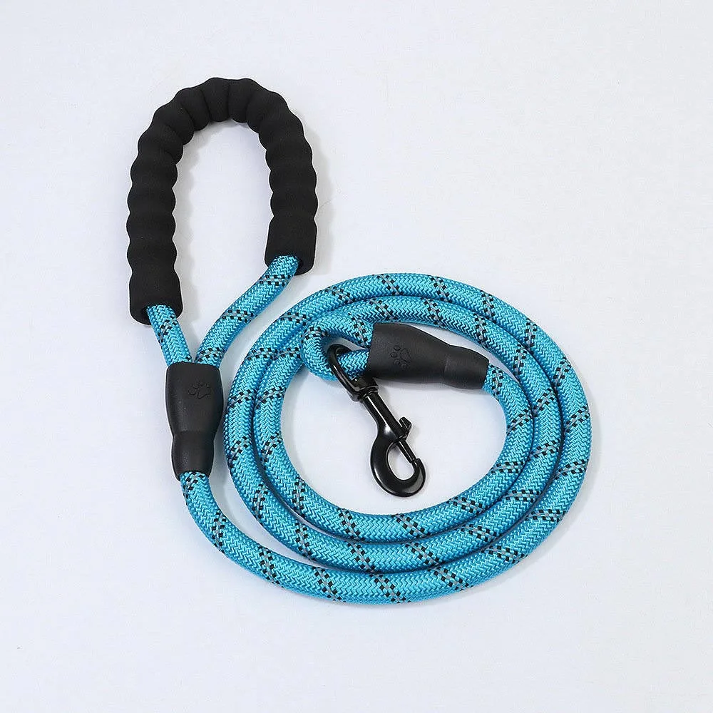 blue dog leash
