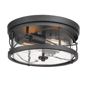 American Modern Style Decorative Flush Mount Ceiling Light 2bulds Panel Steel Finish Clear Glass for Home Brushed Nickel Black