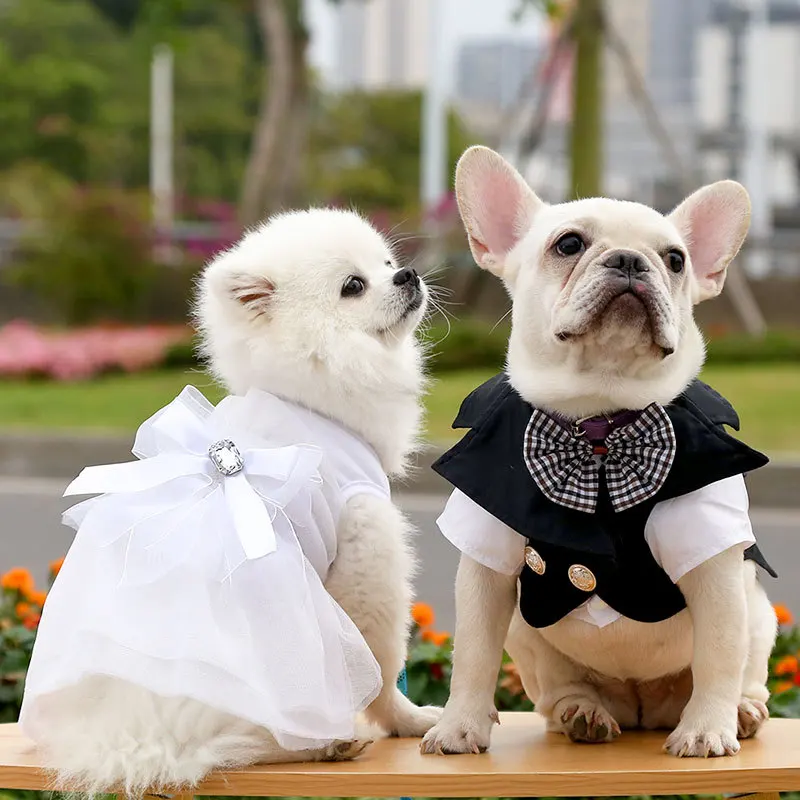 Dog Dresses For Small Dogs Girl Dog Clothes Yorkie Chihuahua Teacup  Princess Outfit Puppy Wedding Dress - Buy Pet Dog Sex Clothes,Dog Dresses, Dog Dresses Clothes Product on Alibaba.com