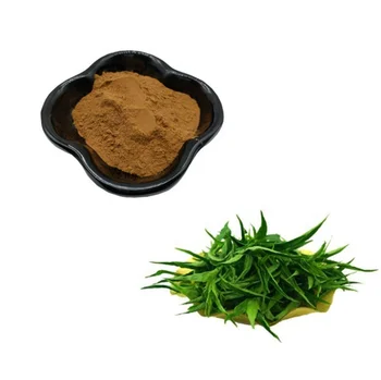 Pure Sabah Snake Grass Extract Herbal Powder for Healthy