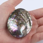 Abalone 50-60mm Natural Polished Shell Natural Craft Abalone Shell