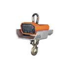 Hanging Scale Precision Electronic Crane High Temperature Resistance Hanging Weighing Scale