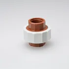 Sale Union Plastic Fitting New Bull Hot Sale Fittings Pph Thread Fitting Female All Plastic Union