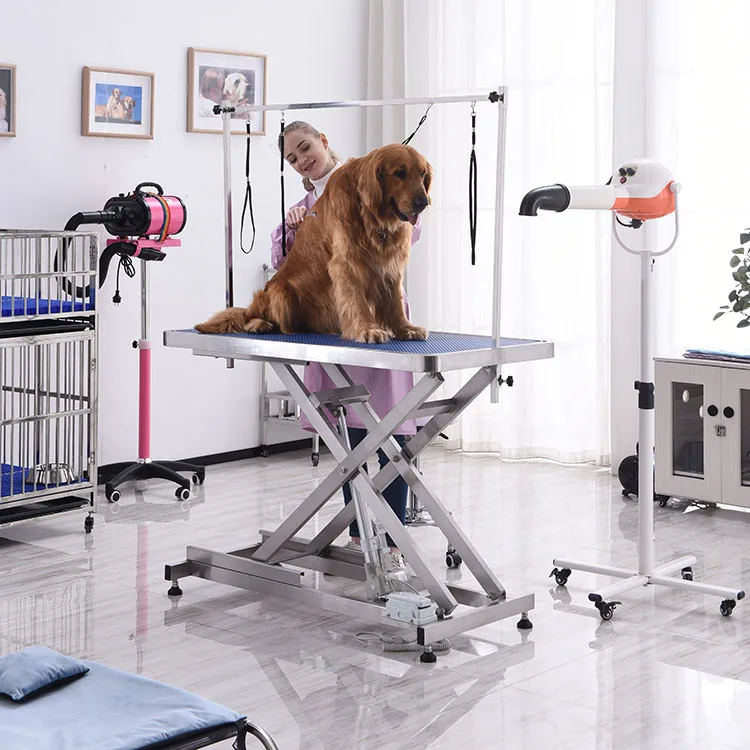 Dog Grooming Tables For Sale stickhealthcare.co.uk