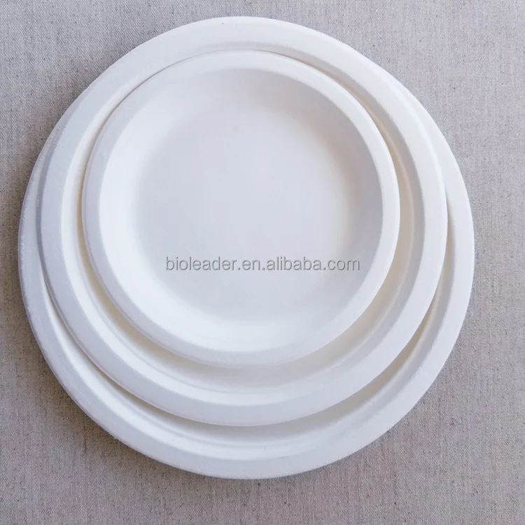 Biodegradable Uncoated Sugarcane Ribbed Paper Plates