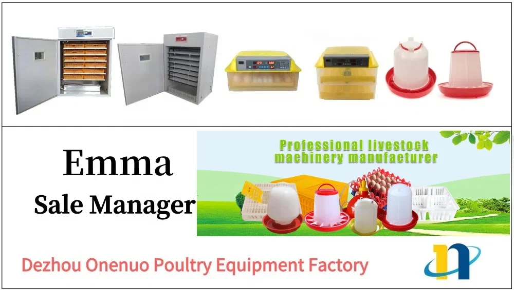 Quality Incubator Exhaust Fan, 220, CE - detail 26