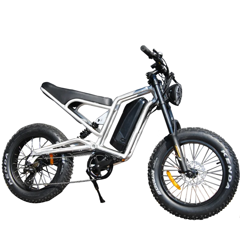 Lithium Battery For Fat Tire Ebike 