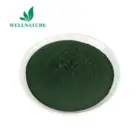 Blue China Supply Organic Blue Pure Spirulina Powder For Fish Feed
