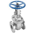 Steam Valve Manual Stainless Steel 304 Manual ANSI 150LB 1/2" Water Gas Steam Oil Flange Gate Valve