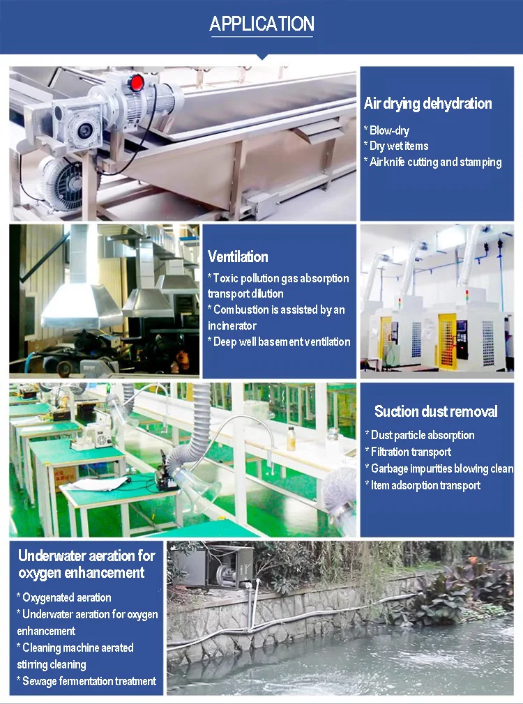 Ring Blower, 7.5KW, 220V/380V/415V - detail 14