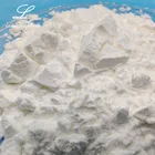 Starch FOOD ADDITIVES CORN STARCH MAIZE STARCH With FOOD GARDE