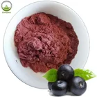 100% Natural Herbal Acai Berry Freeze-dried Juice Powder Acai Berry Powder