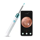 X6 Mini X6 Inskam X6 Professional OEM Wifi Waterproof Mini Otoscope Inspection Ear Wax Remover Cleaner Ear Endoscope Camera