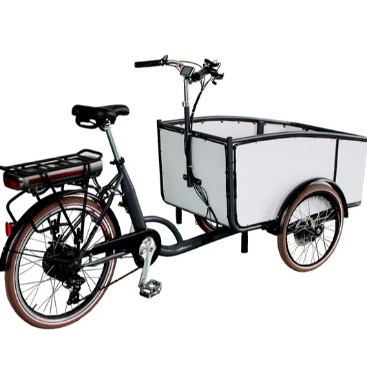 Europe Warehouse Electric Cargo Bicycle 