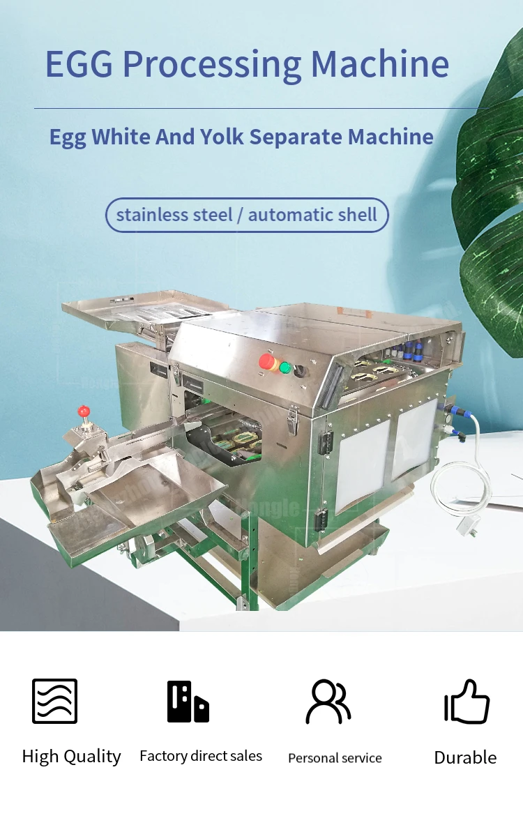 Liquid Egg Production Line for Small Egg Powder Making Pasteurization Machine Egg Breaker Yolk Separating Machine details