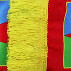 Scarf Flag Polyester Scarf High Quality Custom Making Polyester Material 1 Piece MOQ Scarf With Tassel Eritrea Flag Scarf