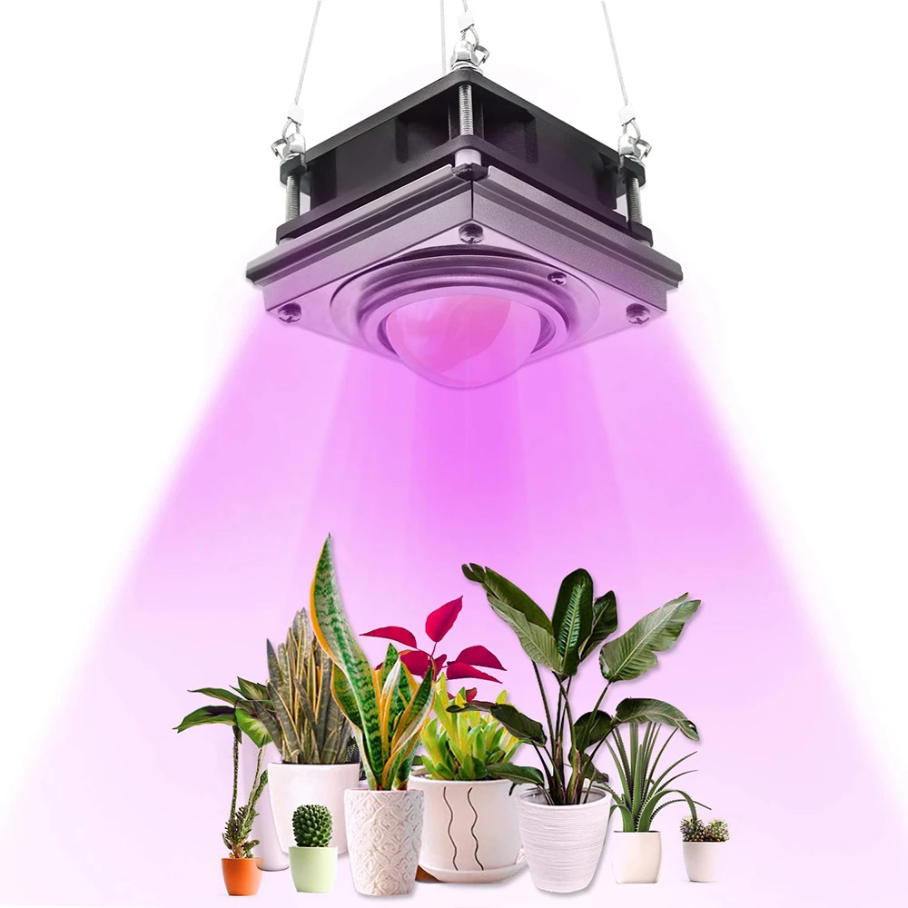 grow light hooks