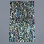 Abalone New Zealand Abalone Shell Sheet Mother Of Pearl Paper