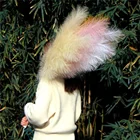 Reed Custom 120cm Colorful Dried Reed Pampas Grass Flower For Home Decor
