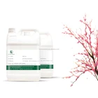 Flavor Food Flavor Cherry Blossoms Sakura Flavor Use For Mouthwash Making High Concentrated Flavor 1KG 5KG
