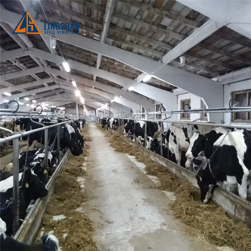 Low Cost Prefab Livestock Cattle Shed, Dairy Farm -Alibaba.com