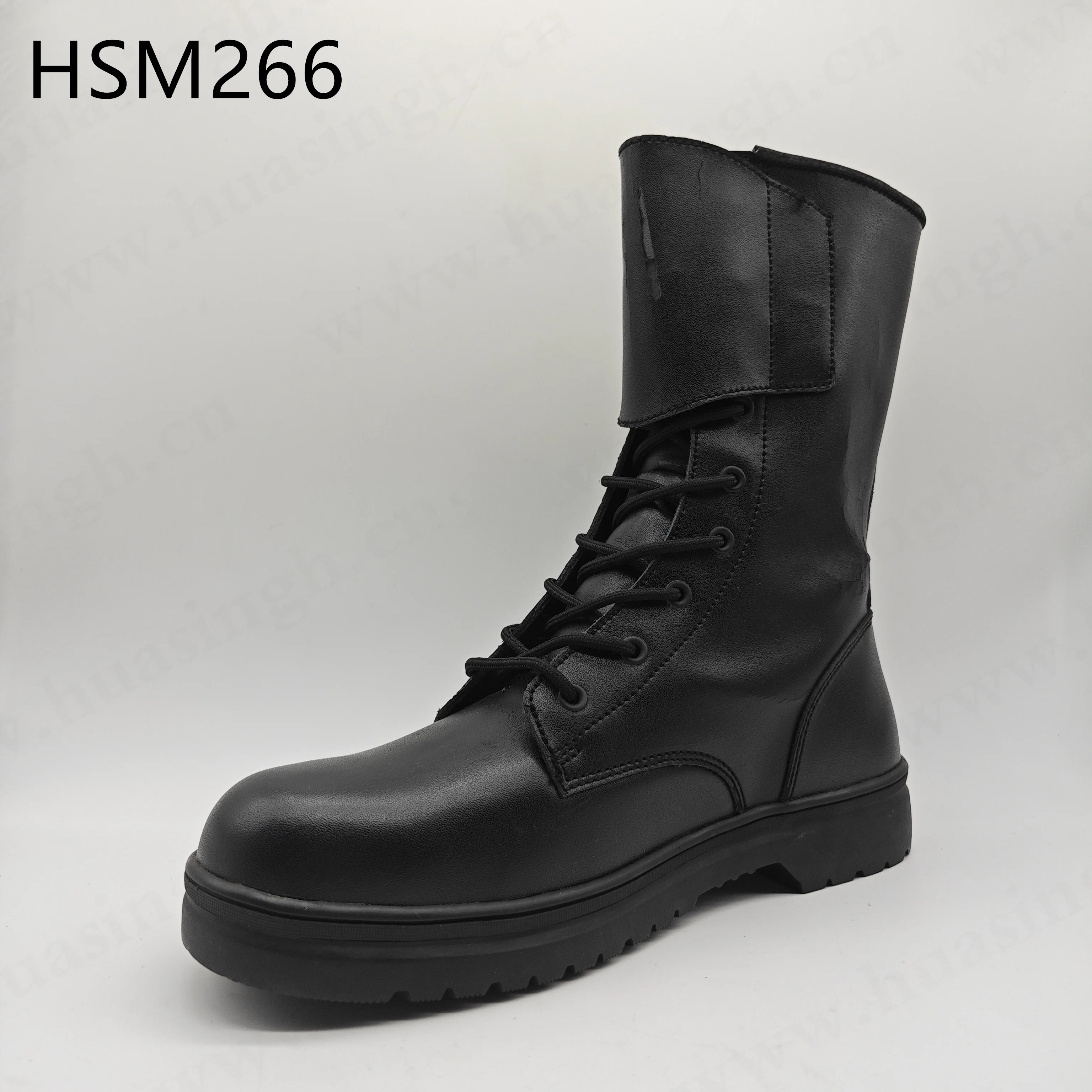 HSM266266 ()