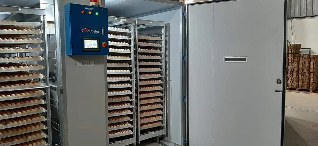 Cross Flow Fans, 380V, 110V - detail 2