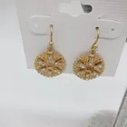 Fashion Shape Earings Shape Earring Fashion Statement Round Shape Diamond Drop Earings For Women 2020