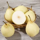 Pear Wholesale Factory Directly Supply Sweet And Juicy China Fresh Ya Pear