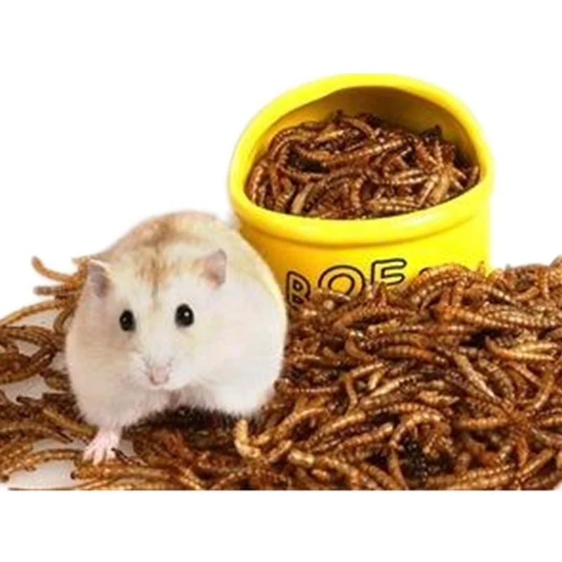 Hamster Food With Mealworms stickhealthcare.co.uk