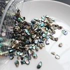 Abalone Shell XUNBEI Natural Crushed Abalone Shell Mother Of Pearl Shell DIY Abalone Shell Pieces