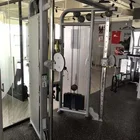 Equipment Factory Supply High Quality Professional Commercial Gym Equipment Life Fitness Dual Adjustable Pulley