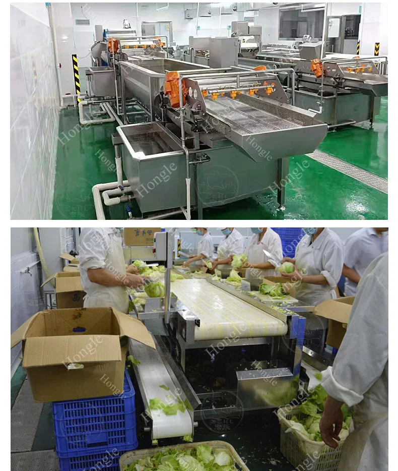 Fruits and Veggies Packing Machine Full Multi-Function Brush Organe Carrot Orange Sorting Washing Waxing Green Onion Cutter Line details