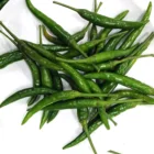 With Wholesale Price For Sale Origin In China Fresh Green Hot Chili