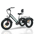 Bicycle Trike EZREAL 3 Wheel Electric Cargo Bike 3 Wheel Electric Bicycle Cargo Trike For Adults