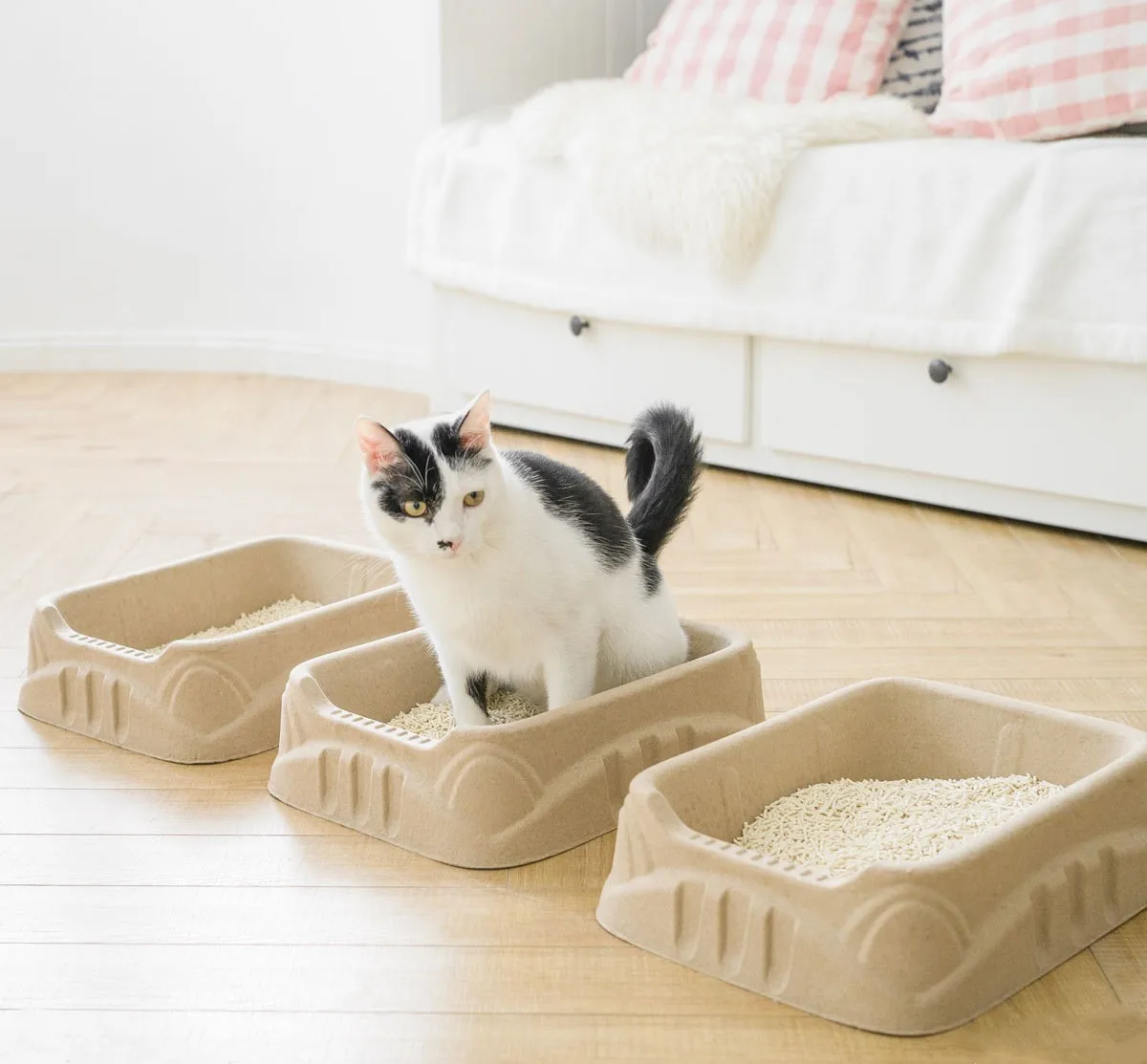 Disposable Pulp Eco Friendly Cat Litter Box Pet Cleaning & Grooming