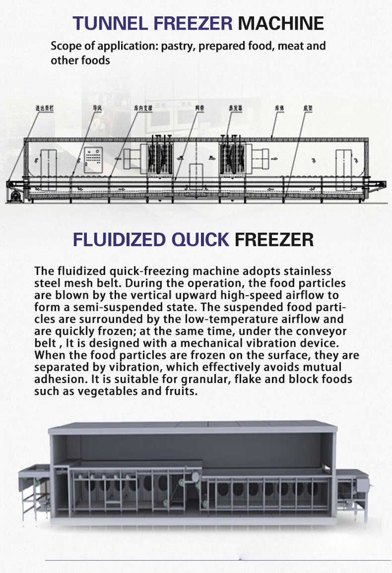 Spiral Freezer, IQF, 220 V, customization - detail 6