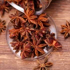 Traditional Chinese Herb Spice Single Star Anise Wholesales 100% Natural Dried Organic Star Anise With Beat Price