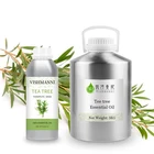 Tea Tree Oil Essential Factory Supplier Pure Natural Plant Tea Tree Oil Bulk Tea Tree Essential Oil